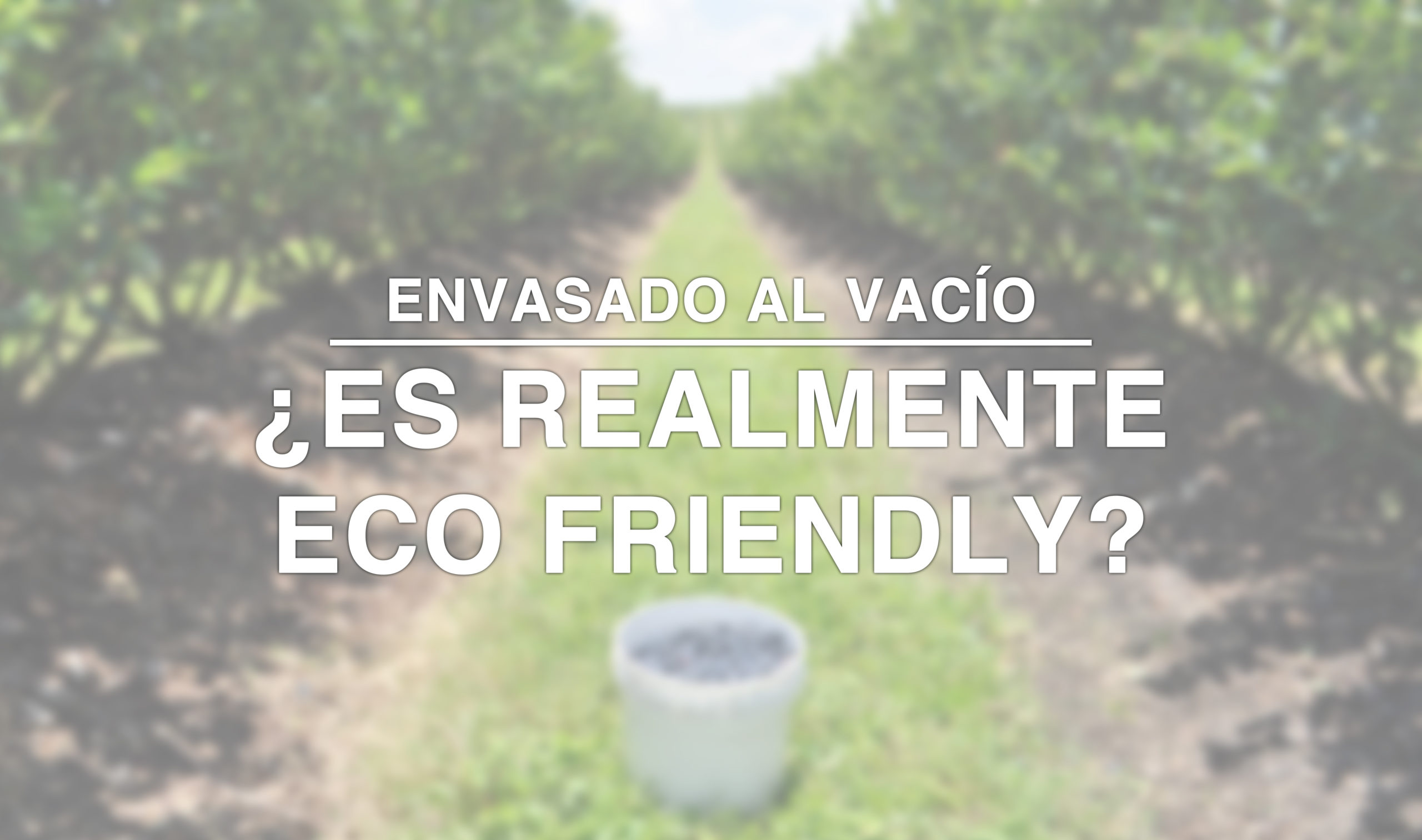 Así es el envasado al vacío: qué es, frente a qué protege y con qué  alimentos se puede utilizar